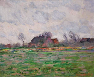 Tulpenfelder bei Leiden