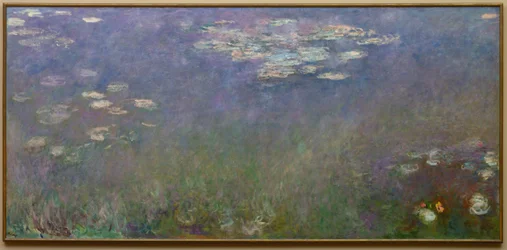 Seerosen (Agapanthus), ca. 1915-26