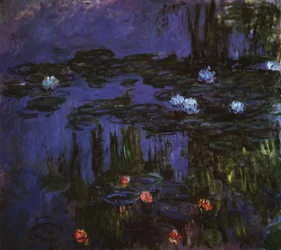 Seerosen