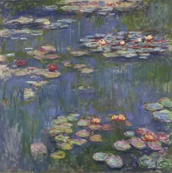 Seerosen