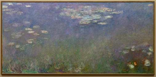 Seerosen Agapanthus, ca. 1915-26