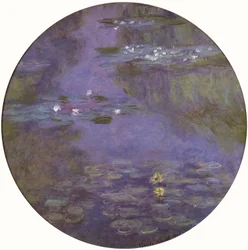 Seerosen-Rundel