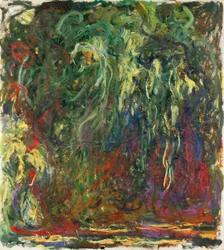 Trauerweide, 1920-1922