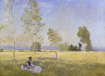 Wiese in Bezons (Sommer)