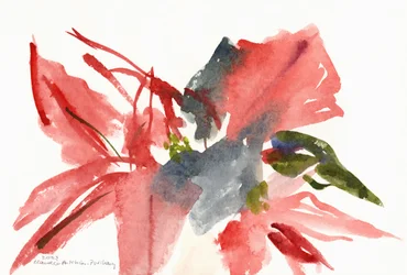 Weihnachtsstern, 2003