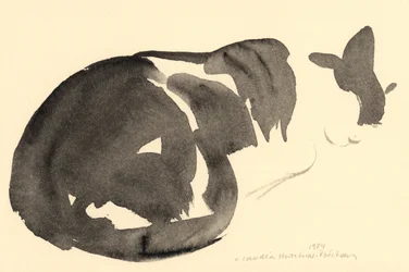 Schlafende Katze, 1984