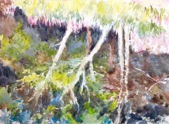 Waldreflexionen, Silver Lake, 2017