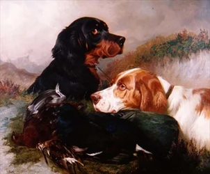 Setter mit der Tagesbeute