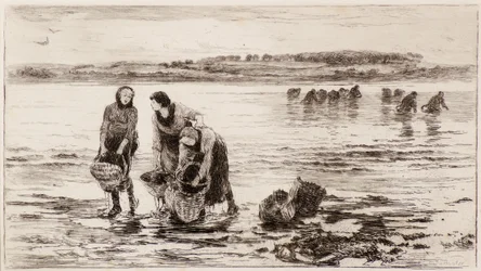 Die Muschelsammler