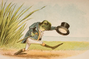 Ein Frosch wollte freit gehen, aus 