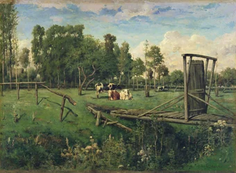 Eine Weide in der Normandie