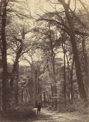 Waldszene, ca. 1865