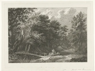 Waldansicht mit Holzbrücke