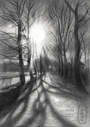 Pfad des Winterlichts
