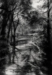Beschatteter Waldstrom
