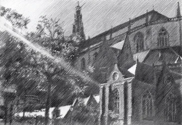 St-Bavo in Haarlem - 03-10-23