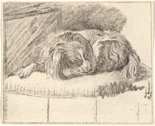Schlafender Hund, 1777