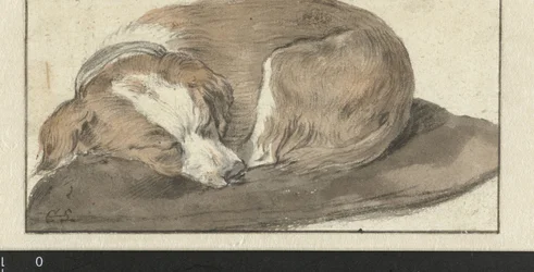 Schlafender Hund