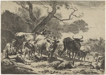 Ruhender alter Hirte mit seiner Herde