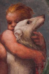 Parma, Camera di S.Paolo, Putto