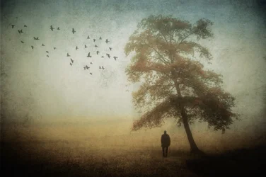 Einsamer Mann im Herbstnebel
