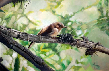 Hauszaunkönig, das harmonische Singen