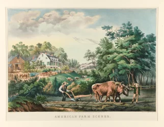 Amerikanische Bauernhofszenen. Nr. 1