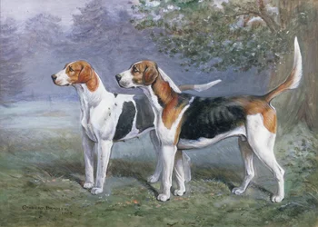 Eine Hündin und ein Hund in einer Landschaft