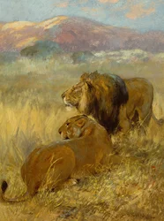 Ein Löwe und eine Löwin, die ihr Territorium schützen