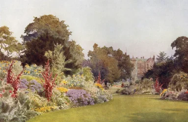 Eine Lichtung neben dem Rasen, Sandringham