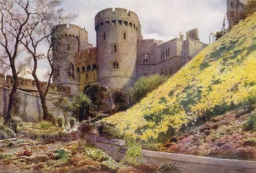 Narzissen am Hügel unterhalb des Rundturms, Windsor Castle