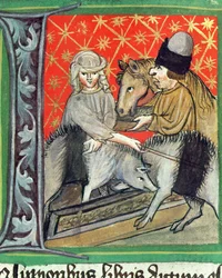 Schweine- und Pferdezucht, aus Opus Ruralium Commodorum von Pietro de Crescenzi (1230-1321)