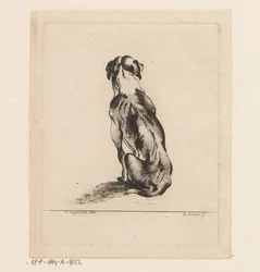 Sitzender Hund von hinten gesehen