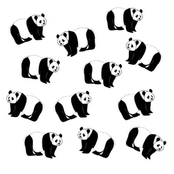 Pandas, 2024