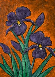 Lebendige violette Schwertlilien