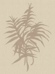 Pflanze Neutral