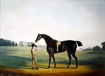 Ein Pferd und ein Stallbursche auf dem Gelände von Hooton Hall, Cheshire