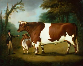 Ein Ochse und sein Besitzer mit einer Färse in einer bewaldeten Landschaft