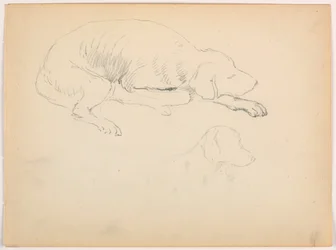 Milo (ein Pointer), Zwei Studien