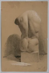 Männlicher Torso aus einem Gipsabguss