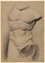 Männlicher Torso von einem Gipsabguss