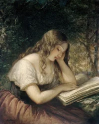Studie in einem Wald