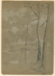 Studie von Hemlock und Buche, Weißer See
