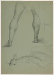 Zwei teilweise anatomische Studien