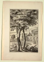 Teller im Nouveaux Livre de Paysages (Neues Buch der Landschaften)