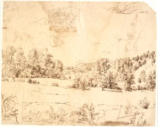 Eine Waldwiese zwischen bewaldeten Hügeln