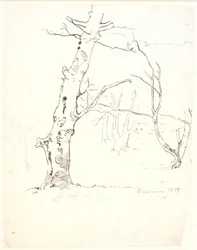 Baumstämme