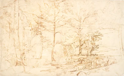 Aussicht aus einem Wald über Heide und Hügel