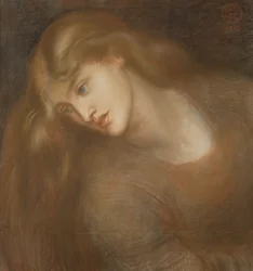 Aspecta Medusa