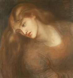 Aspecta Medusa, 1867